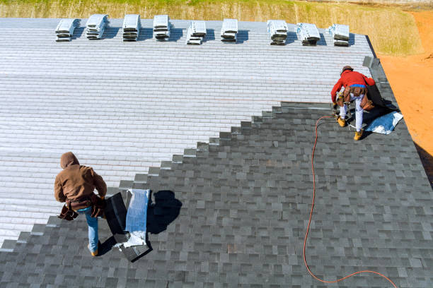 Best Metal Roofing Contractor  in Metamora, IL