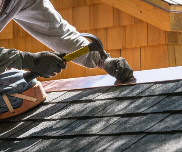 Best Roof Gutter Cleaning  in Metamora, IL